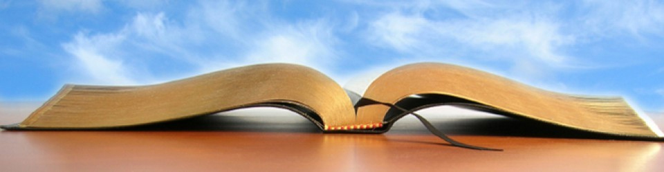 salvation-bible